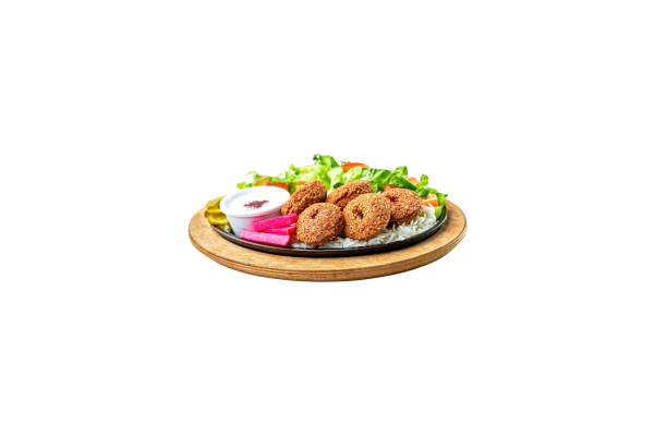 falafel spices(1×500gr)